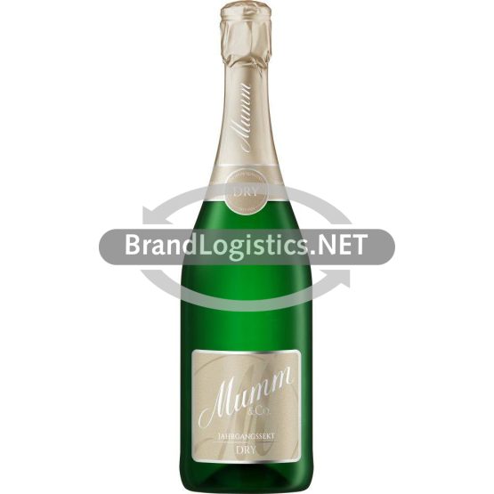 Mumm Dry Jahrgangssekt 0,75 l